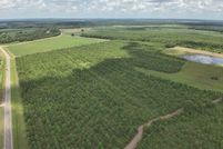 Undeveloped Land for sale in Tallahatchie County, Mississippi