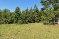 Undeveloped Land for sale in Calhoun County, South Carolina