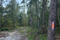 Undeveloped Land for sale in Sumter County, South Carolina
