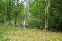 Undeveloped Land for sale in Clarendon County, South Carolina