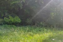 Undeveloped Land for sale in Bradley County, Tennessee