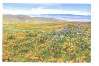 Property for sale in San Luis Obispo County, California