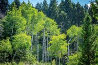 Property for sale in Park County, Montana