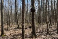 Undeveloped Land for sale in Allegan County, Michigan