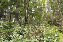 Undeveloped Land for sale in Carroll County, Virginia