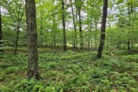 Undeveloped Land for sale in Wayne County, Pennsylvania