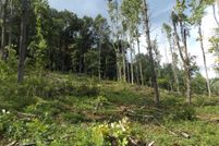 Undeveloped Land for sale in Carroll County, Virginia