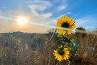 Undeveloped Land for sale in San Juan County, Utah