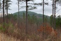 Undeveloped Land for sale in Union County, Georgia