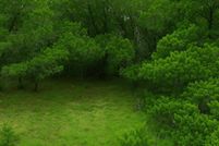 Undeveloped Land for sale in Travis County, Texas