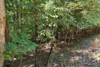 Property for sale in Gilmer County, Georgia