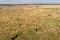 Lakefront Property for sale in Mitchell County, Kansas