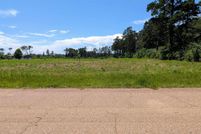 Undeveloped Land for sale in Saint Helena Parish, Louisiana