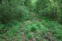 Property for sale in Giles County, Tennessee