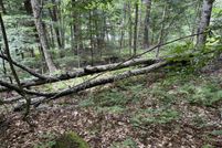 Undeveloped Land for sale in Windham County, Vermont