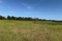 Undeveloped Land for sale in Fannin County, Texas