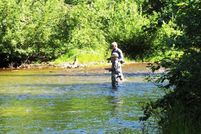 Undeveloped Land for sale in Matanuska-Susitna Borough, Alaska