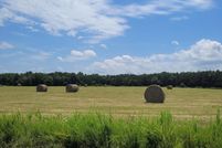 Undeveloped Land for sale in Hickory County, Missouri