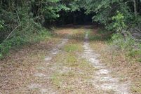 Undeveloped Land for sale in Henry County, Alabama