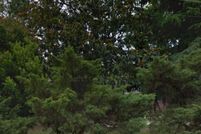 Property for sale in Richmond County, Georgia