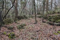 Undeveloped Land for sale in Webster County, Missouri