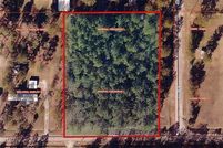 Undeveloped Land for sale in Beauregard Parish, Louisiana