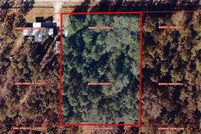 Undeveloped Land for sale in Beauregard Parish, Louisiana