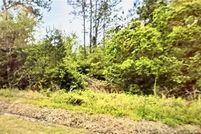 Undeveloped Land for sale in Beauregard Parish, Louisiana