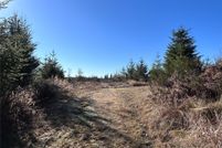Undeveloped Land for sale in Lewis County, Washington