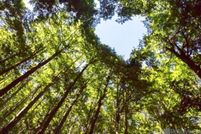 Property for sale in East Feliciana Parish, Louisiana