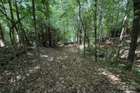 Undeveloped Land for sale in Buncombe County, North Carolina