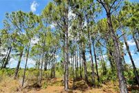 Property for sale in Okeechobee County, Florida