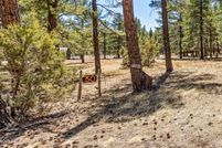 Undeveloped Land for sale in Coconino County, Arizona