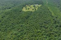 Undeveloped Land for sale in Polk County, Arkansas