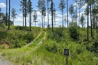 Undeveloped Land for sale in Gilmer County, Georgia