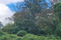 Property for sale in Fannin County, Georgia