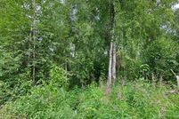 Undeveloped Land for sale in Matanuska-Susitna Borough, Alaska