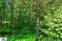 Property for sale in Arenac County, Michigan