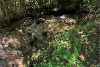 Undeveloped Land for sale in Union County, Georgia
