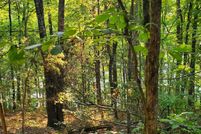 Property for sale in Van Buren County, Arkansas