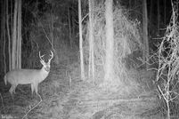 Property for sale in Somerset County, Maryland