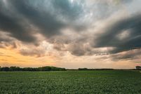 Property for sale in Douglas County, Kansas