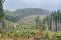 Undeveloped Land for sale in Lewis County, Washington