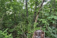 Undeveloped Land for sale in Searcy County, Arkansas