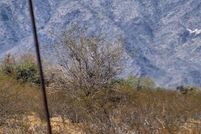 Property for sale in Maricopa County, Arizona