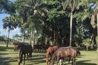 Property for sale in Palm Beach County, Florida