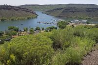 Undeveloped Land for sale in Larimer County, Colorado
