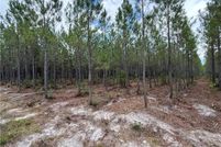 Undeveloped Land for sale in Ware County, Georgia