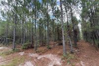 Undeveloped Land for sale in Ware County, Georgia