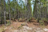 Undeveloped Land for sale in Ware County, Georgia